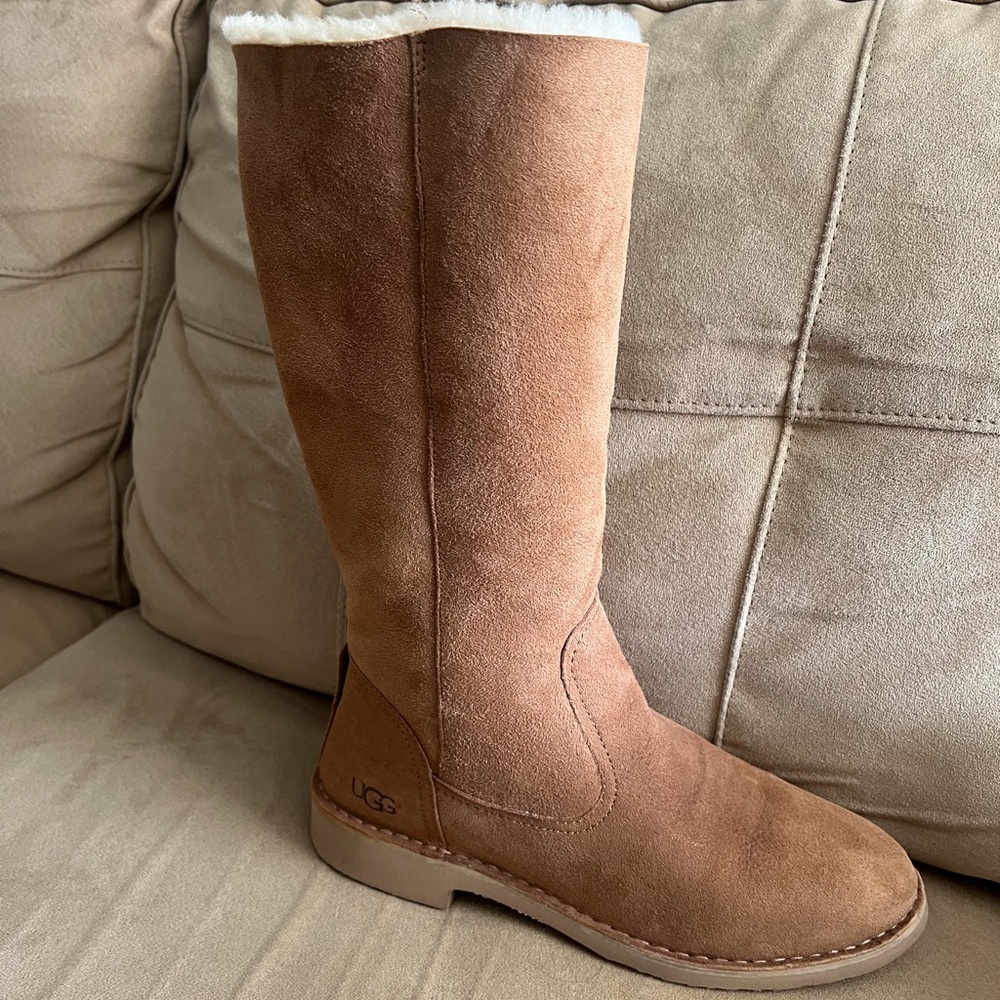 UGG Women's Chestnut Suede Winter Boots